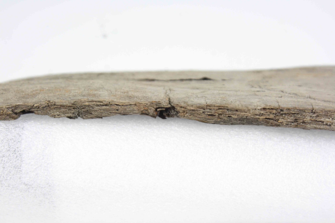 File ATD 45005 (24).jpg